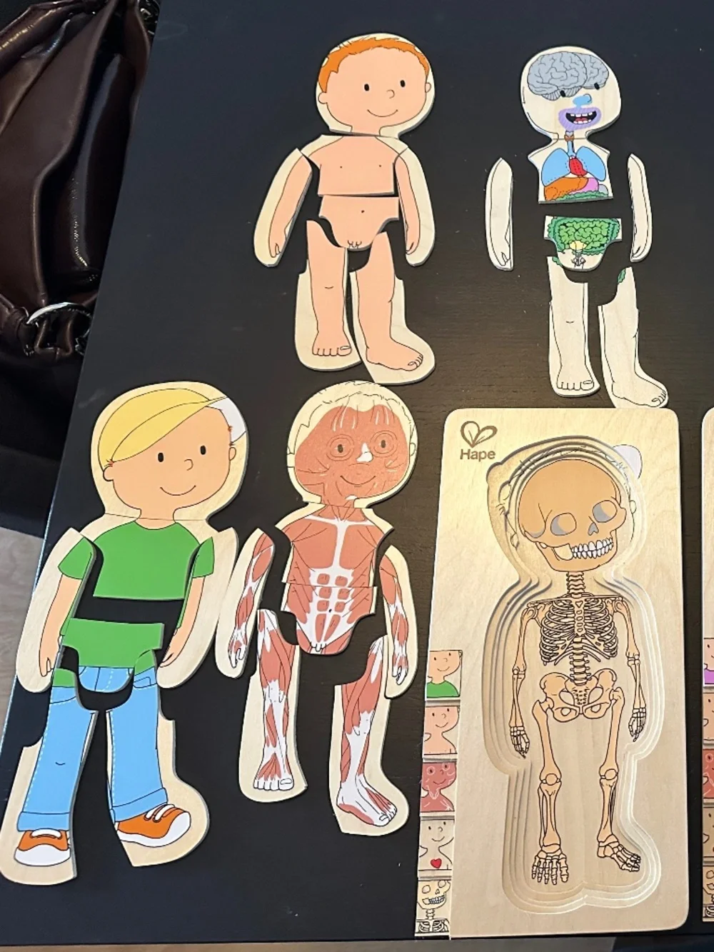 Hape Wooden Layered Anatomy Puzzles Boy & Girl Set of 2